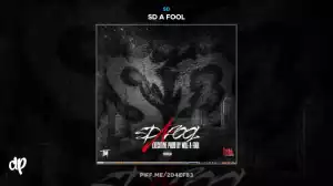 SD X Will A Fool - For Me